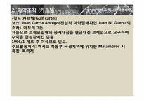 [국제문화] 히스패닉 아메리카 사회와 문화 - 중남미 마약 & 멕시코 국경지대-11