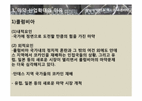 [국제문화] 히스패닉 아메리카 사회와 문화 - 중남미 마약 & 멕시코 국경지대-12