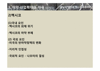 [국제문화] 히스패닉 아메리카 사회와 문화 - 중남미 마약 & 멕시코 국경지대-13