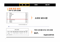 [국제경영] 정관장 `비타홍삼` 칠레 드링크 시장 진출 전략-5