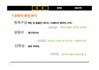 [국제경영] 정관장 `비타홍삼` 칠레 드링크 시장 진출 전략-10