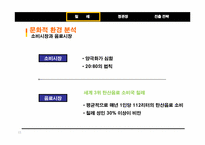 [국제경영] 정관장 `비타홍삼` 칠레 드링크 시장 진출 전략-11