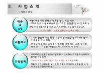 [마케팅 원론] 인터넷 쇼핑몰을 통한 커스텀 운동화 사업-9