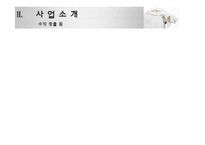 [마케팅 원론] 인터넷 쇼핑몰을 통한 커스텀 운동화 사업-11