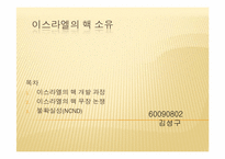 [정치외교학] 약소국의 핵보유 욕구와 필요성, 타당성 논쟁-8