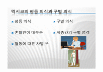 [이문화경영] 멕시코시장 진출을 위한 경제 현황 조사-8