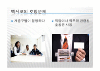 [이문화경영] 멕시코시장 진출을 위한 경제 현황 조사-12