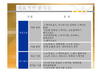 [스포츠레저심리학] X-Sports의 특성과 해외 및 국내 현황을 중심으로-11
