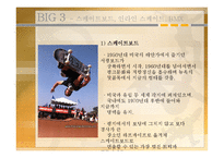 [스포츠레저심리학] X-Sports의 특성과 해외 및 국내 현황을 중심으로-12