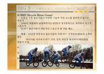 [스포츠레저심리학] X-Sports의 특성과 해외 및 국내 현황을 중심으로-14