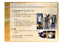 [스포츠레저심리학] X-Sports의 특성과 해외 및 국내 현황을 중심으로-15