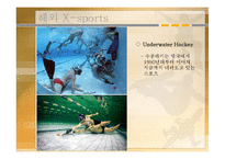 [스포츠레저심리학] X-Sports의 특성과 해외 및 국내 현황을 중심으로-18