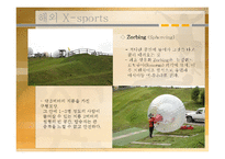 [스포츠레저심리학] X-Sports의 특성과 해외 및 국내 현황을 중심으로-20