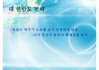 [정치외교학] 핵시대 동북아 질서 변화 문제-8