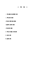 [이문화경영] 멕시코시장 진출을 위한 경제 현황 조사-2
