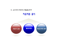 [마케팅원론] 처음처럼 마케팅 성공사례-10