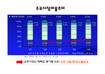 [마케팅원론] 처음처럼 마케팅 성공사례-12