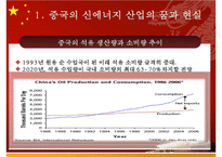 [무역학] 중국의 지속가능한 발전을 위한 에너지 자원문제-5