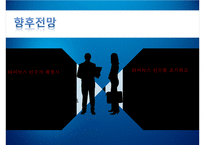[국제경영학] 글로벌 비즈니스 협상전략-포스코-타이녹스 인수 협상 보고서-10