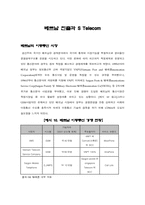 [국제경영] SK텔레콤의 해외(몽골, 베트남, 중국)진출 전략-15