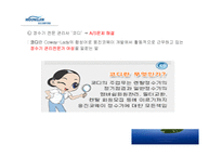[경영전략 사례연구] 웅진 코웨이 마케팅 전략 분석-17