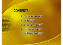 [해외투자론] 외국인 투자에 대한 인도네시아 정책 분석 및 `미원`진출 사례 조사-2