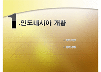 [해외투자론] 외국인 투자에 대한 인도네시아 정책 분석 및 `미원`진출 사례 조사-3