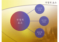 [해외투자론] 외국인 투자에 대한 인도네시아 정책 분석 및 `미원`진출 사례 조사-12