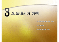 [해외투자론] 외국인 투자에 대한 인도네시아 정책 분석 및 `미원`진출 사례 조사-18