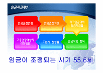 [노동경제학] 임금피크제 실태 문제점과 개선방안-15
