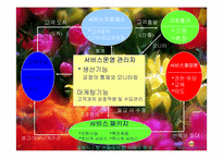 [생산관리] 서비스 운영관리-SAS사례 중심-6