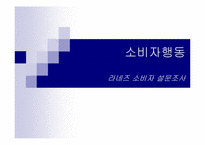 [소비자행동론] 라네즈 소비자 설문조사-1