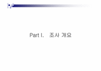 [소비자행동론] 라네즈 소비자 설문조사-3