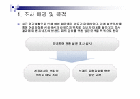 [소비자행동론] 라네즈 소비자 설문조사-4