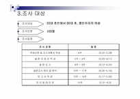 [소비자행동론] 라네즈 소비자 설문조사-6
