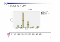 [소비자행동론] 라네즈 소비자 설문조사-16