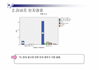[소비자행동론] 라네즈 소비자 설문조사-17