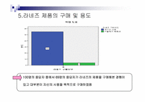 [소비자행동론] 라네즈 소비자 설문조사-20