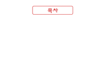[마케팅원론] 빙그레의 마케팅 전략 분석(SWOT, STP, 7P)-2