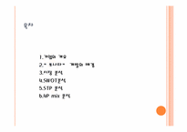 [마케팅원론] 현대자동차 `소나타` 마케팅 전략 분석-2