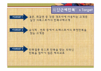 [마케팅 원론] 한복 디자인의 대중화와 세계화-20