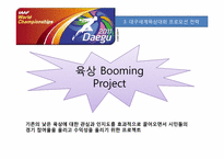 [스포츠경영] 대구 세계 육상 대회 프로모션 전략-12