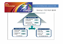 [스포츠경영] 대구 세계 육상 대회 프로모션 전략-15