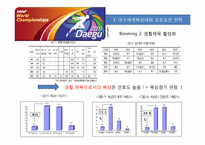 [스포츠경영] 대구 세계 육상 대회 프로모션 전략-16