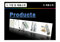 [마케팅원론] 실버렉스 말레이시아 시장 진출 마케팅 전략-5
