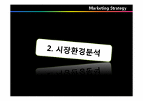 [마케팅원론] 실버렉스 말레이시아 시장 진출 마케팅 전략-8