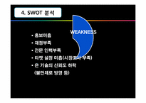 [마케팅원론] 실버렉스 말레이시아 시장 진출 마케팅 전략-17