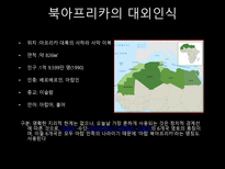 [세계화와 사회변화] 아프리카(이집트, 리비아, 남아프리카 공화국)의 경제 변화와 한국과의 외교관계-13
