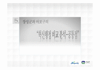 [지방행정론] 장성군과 마포구의 자치단체장을 통한 행정혁신과 자치행정비교-18