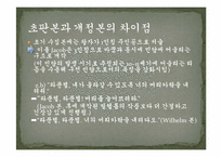 [독일문학] 독일동화 `라푼첼` 분석-13